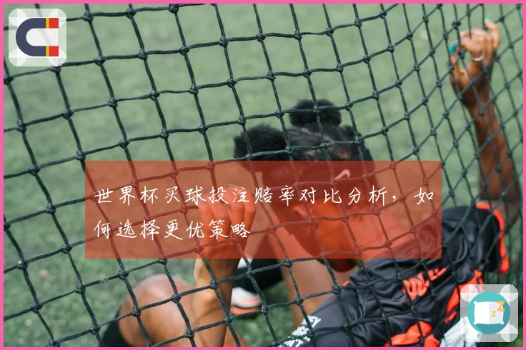 世界杯买球投注赔率对比分析，如何选择更优策略