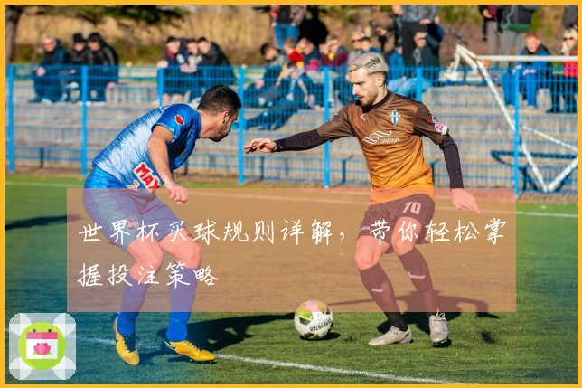 世界杯买球规则详解，带你轻松掌握投注策略
