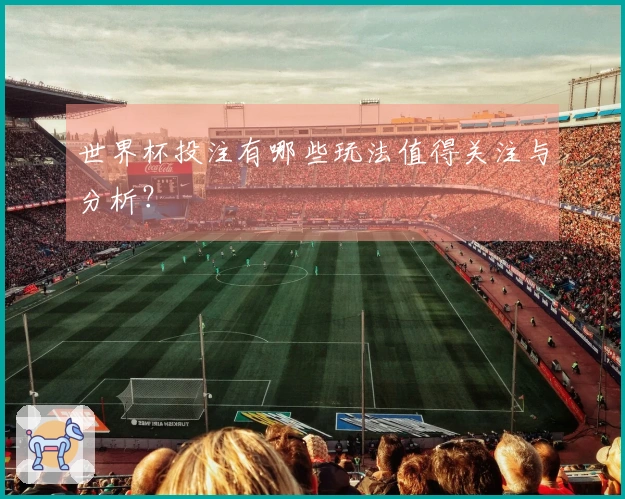 世界杯投注有哪些玩法值得关注与分析？