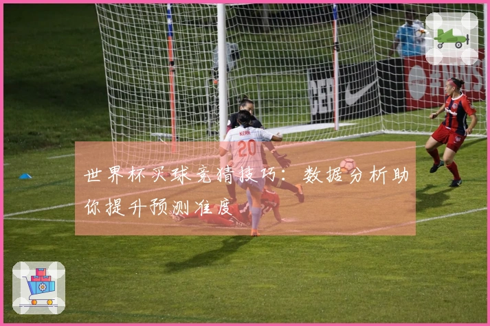 世界杯买球竞猜技巧：数据分析助你提升预测准度