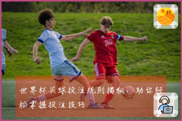 世界杯买球投注规则揭秘，助你轻松掌握投注技巧