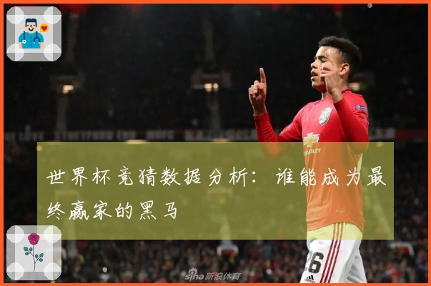 世界杯竞猜数据分析：谁能成为最终赢家的黑马